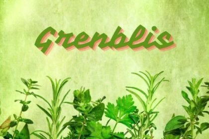 Grenblis