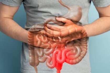 Gut Health